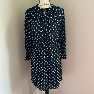 💣 2/$15 💣Loft | 🖤🤩 gorgeous dress